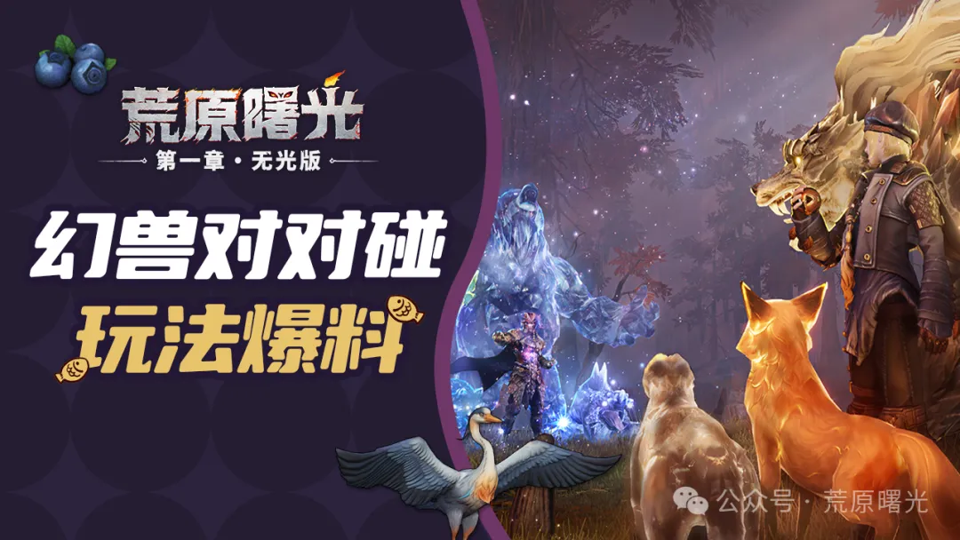 阿门快攻上,火箭队迅速,回击得分,香港马会,赛程安排,赛果查询,马匹资料,赛事动态
